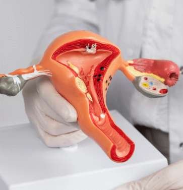 clipboard-image-1772187432-compressed